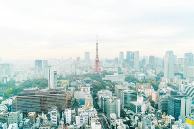 Tokyo şehir manzarası alacakaranlıkta