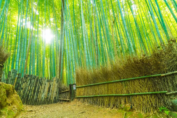 Camino al bosque de bambú en Arashiyama en Kyoto . —  Fotos de Stock