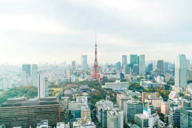 Tokyo şehir manzarası alacakaranlıkta