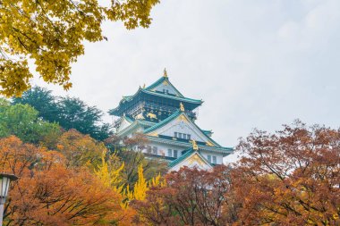 Osaka Kalesi, güzel mimari 