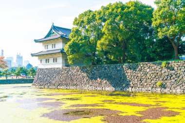 Tokyo'da bina güzel İmparatorluk Sarayı