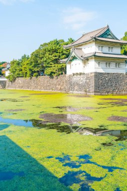 Tokyo'da bina güzel İmparatorluk Sarayı