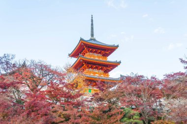 Kiyomizu-dera Tapınağı güzel mimari Kyoto,.