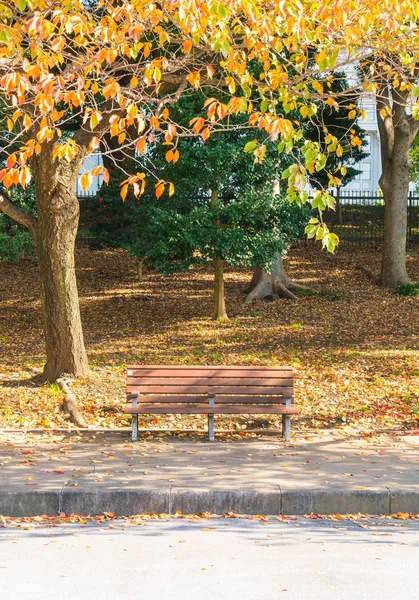 Sonbahar parkında tezgah.