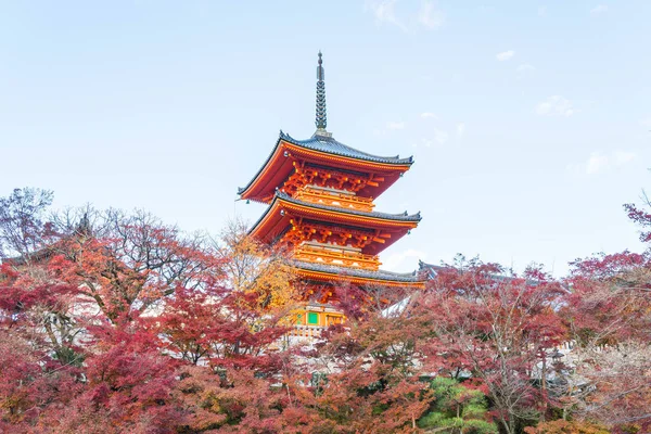 Kiyomizu-dera Tapınağı güzel mimari Kyoto,.