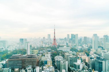Tokyo şehir manzarası alacakaranlıkta