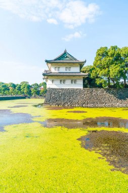 Tokyo'da bina güzel İmparatorluk Sarayı