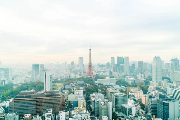 Tokyo şehir manzarası alacakaranlıkta