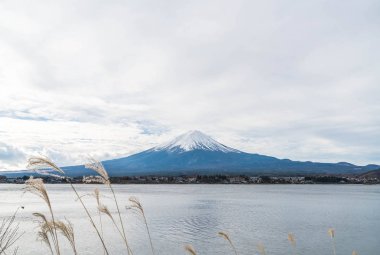 Japonya 'daki Kawaguchiko Gölü' nde Fuji Dağı..