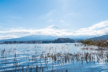 Dağ Fuji San Kawaguchiko Gölü.