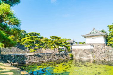 Tokyo'da bina güzel İmparatorluk Sarayı