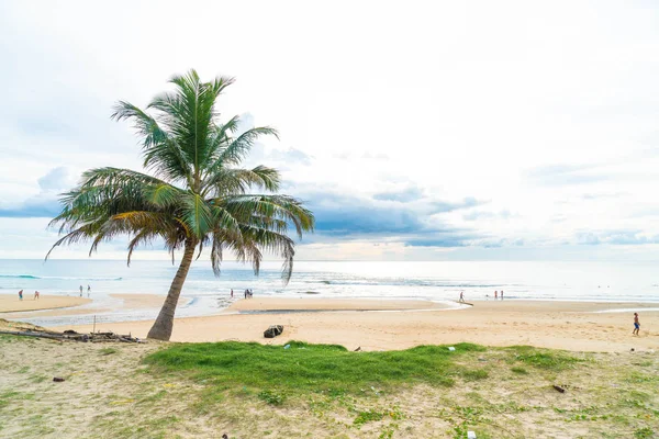 Hindistan cevizi ağacı ile tropikal plaj