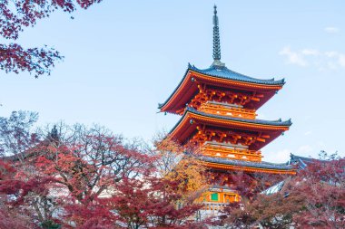 Kiyomizu-dera Tapınağı güzel mimari Kyoto,.