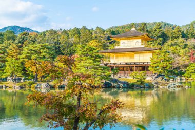Kinkakuji Tapınağı (altın köşk güzel mimari)