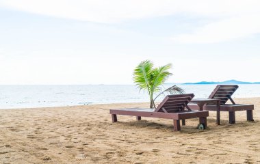 Tayland Pattaya Beach sandalye, palmiye ve tropikal plaj