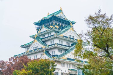 Osaka Kalesi, güzel mimari 