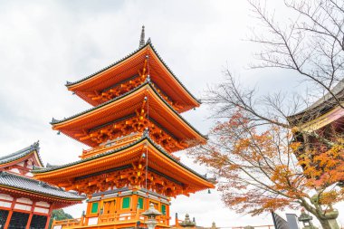 Kiyomizu-dera Tapınağı güzel mimari Kyoto,.