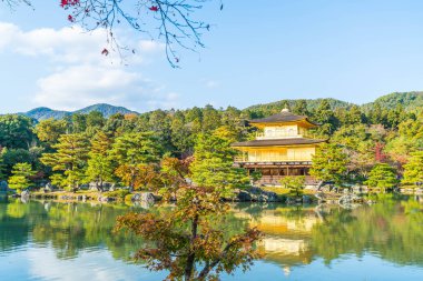 Kinkakuji Tapınağı (altın köşk güzel mimari)