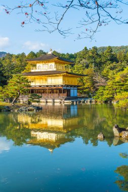 Kinkakuji Tapınağı (altın köşk güzel mimari)