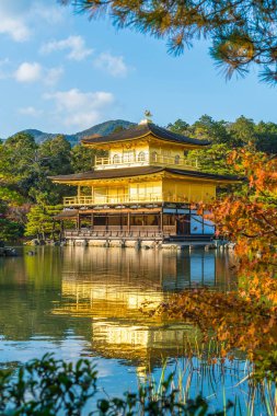 Kinkakuji Tapınağı (altın köşk güzel mimari)