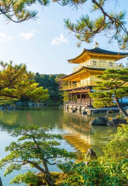 Kinkakuji Tapınağı (altın köşk güzel mimari)