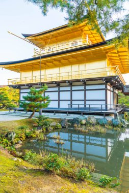 Kinkakuji Tapınağı (altın köşk güzel mimari)