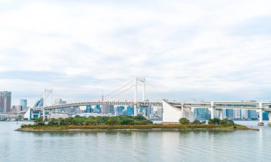 Tokyo siluetinin Tokyo kule ve Gökkuşağı Köprüsü ile. 