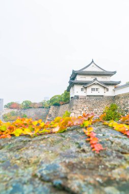 Osaka Kalesi, güzel mimari 