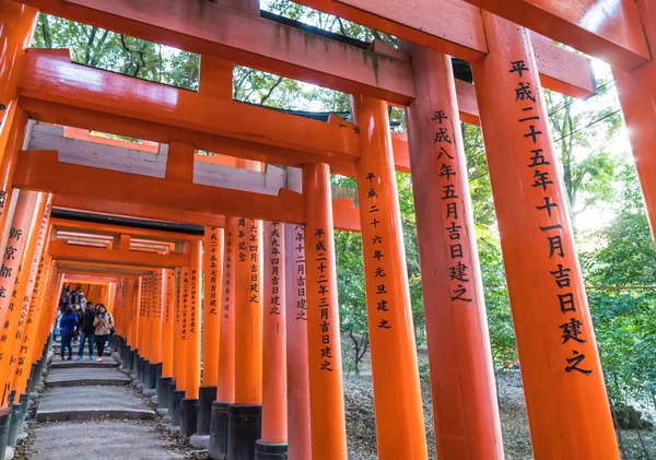 KYOTO, JAPON - 23 NOV 2016 : Passerelles Torii à Fushimi Inari Tai — Photo