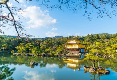 Kinkakuji Tapınağı (altın köşk güzel mimari)
