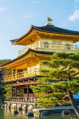 Kinkakuji Tapınağı (altın köşk güzel mimari)