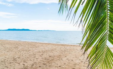 Pattaya Tayland'da palmiye ve tropikal plaj