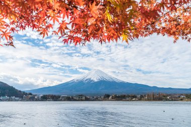 Japonya 'daki Kawaguchiko Gölü' nde Fuji Dağı..