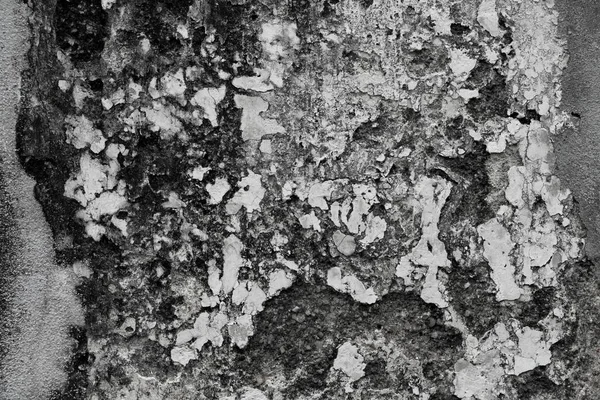Gol murdar și perete grunge — Fotografie, imagine de stoc