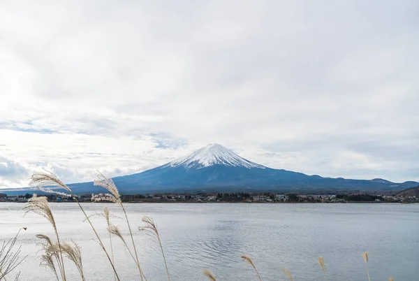 Фудзи-сан на озере Кавагутико в Японии. — стоковое фото
