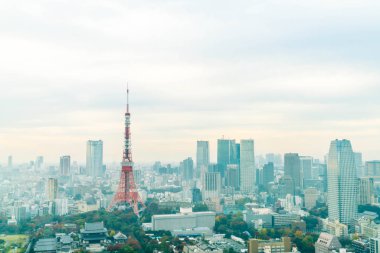 Tokyo şehir manzarası alacakaranlıkta