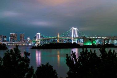 Tokyo siluetinin Tokyo kule ve Gökkuşağı Köprüsü ile. 