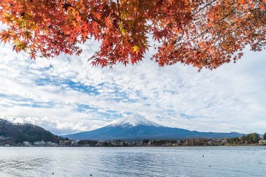 Japonya 'daki Kawaguchiko Gölü' nde Fuji Dağı..