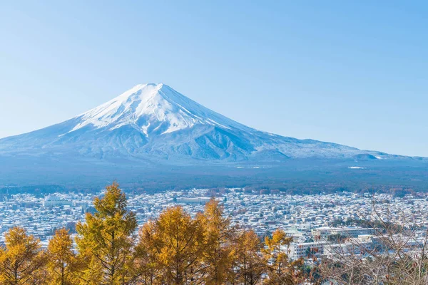 Kawaguchiko, dağ Fuji San