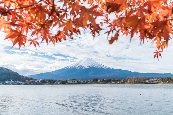 Japonya 'daki Kawaguchiko Gölü' nde Fuji Dağı..