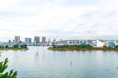 Tokyo siluetinin Tokyo kule ve Gökkuşağı Köprüsü ile. 