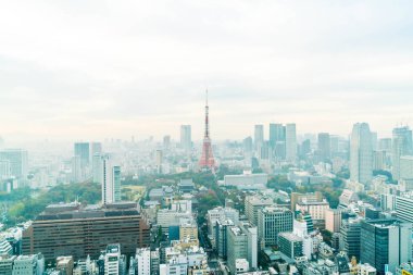 Tokyo şehir manzarası alacakaranlıkta