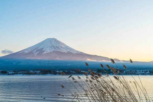 Dağ Fuji San Kawaguchiko Gölü.