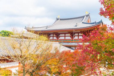 Güzel mimari Byodo içinde Kyoto tapınakta.