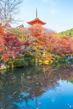 Kiyomizu-dera Tapınağı güzel mimari Kyoto,.