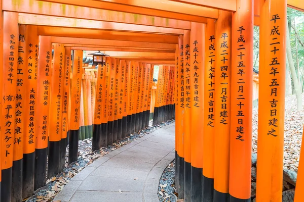 Червоний torii ворота доріжки на fushimi-inari taisha shrine у Ky — стокове фото