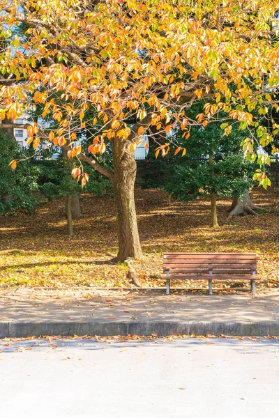 Sonbahar parkında tezgah.