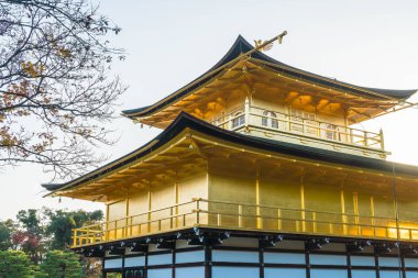 Kinkakuji Tapınağı (altın köşk güzel mimari)