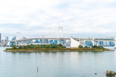 Tokyo siluetinin Tokyo kule ve Gökkuşağı Köprüsü ile. 