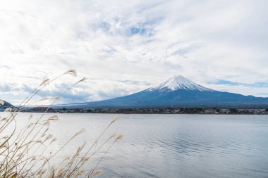 Japonya 'daki Kawaguchiko Gölü' nde Fuji Dağı..